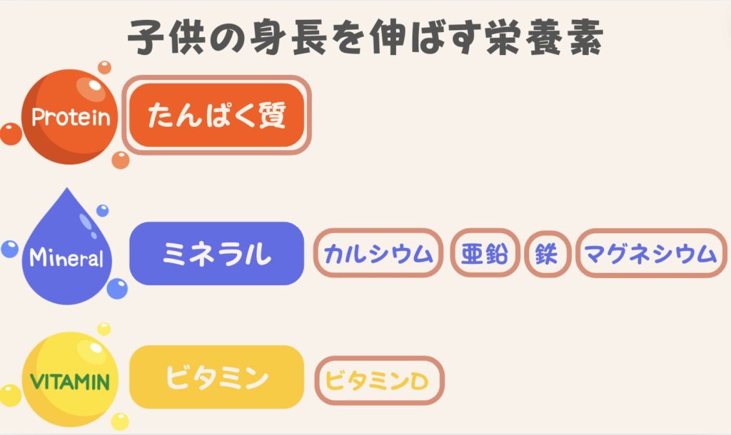 たんぱく質　ビタミン　ミネラル